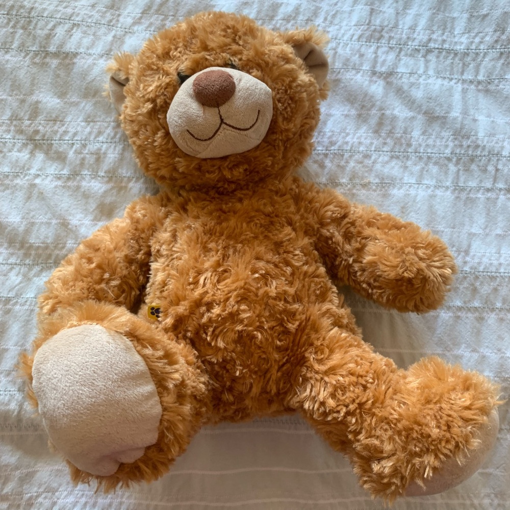 BUILD A BEAR | Retired | Curly Teddy Bear with Outfit